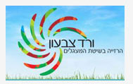 לקוח 11